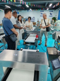 阿尔及利亚